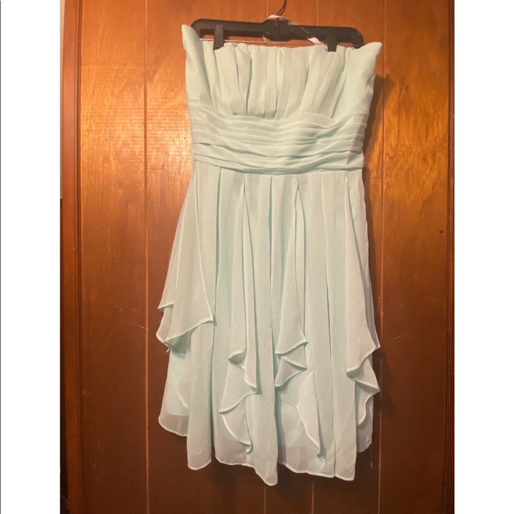 NWT David’s Bridal Dress!